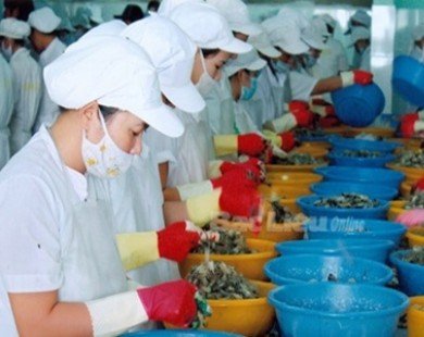 Bac Lieu seafood exports surge to $115 million
