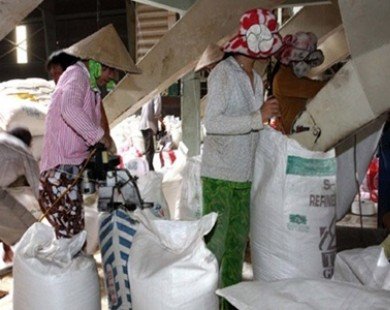 Rice exports projected to reach 1.8m tonnes in Q2