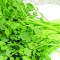 Tác dụng chữa bệnh của rau cải xoong