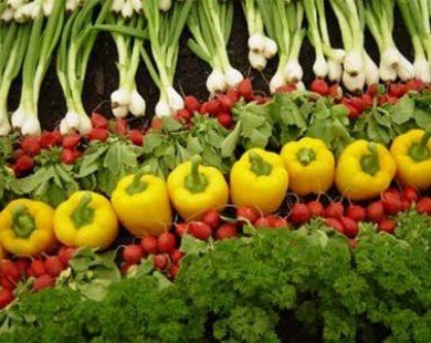 Da Lat clean vegetables to be shipped to RoK