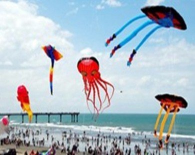 International kite festival takes to the skies in Vung Tau