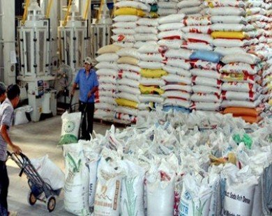 Healthy jump in exports to Egypt points to recovery