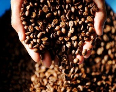 Coffee sales to slow in Vietnam as reserves drop from record