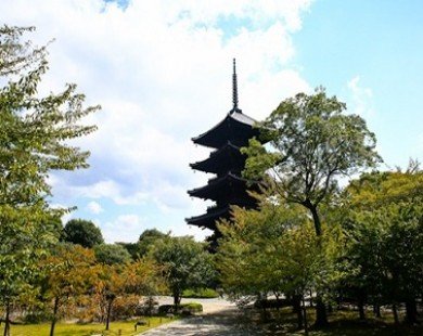 8 điểm đến tuyệt vời khó bỏ qua ở thiên đường Kyoto