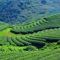 Những chốn mát mẻ cho mùa hè xứ Bắc