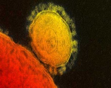 Saudi Arabia registers new cases, deaths of MERS virus infection