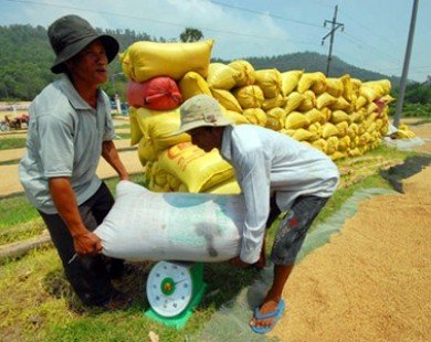 Businesses forfeit rice export quotas for fear of loss