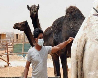 US reports third case of potential MERS virus