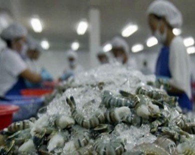 Shrimp export to US surges sharply