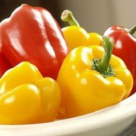 Những thực phẩm tốt cho người đang bị bệnh