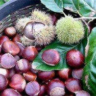 6 loại thực phẩm tăng cường canxi cho bạn