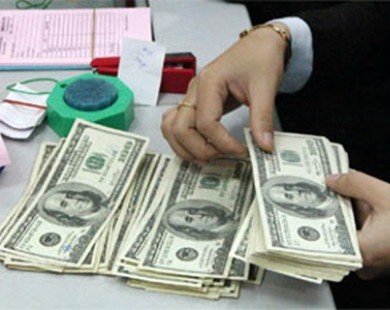 Foreign exchange reserves reach record high