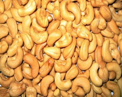 Int’l cashew nut processors convene in Ba Ria-Vung Tau