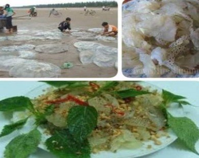 Kinh hãi hậu họa do ngộ độc sứa biển