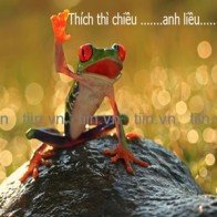 Ca dao, tục ngữ chế