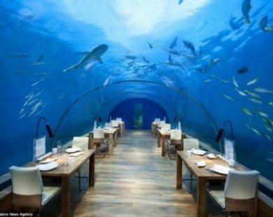Ngắm vẻ đẹp của nhà hàng dưới nước đầu tiên trên thế giới