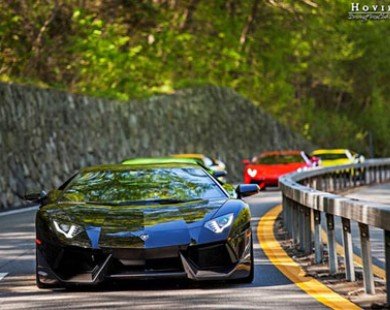 Dàn siêu xe Lamborghini tuyệt đẹp trong ngày hội BullFest