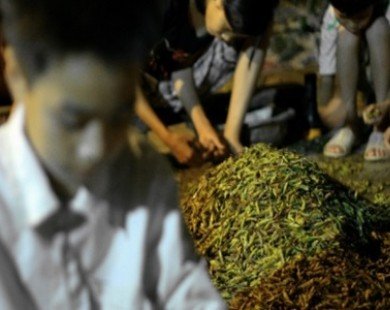 Những nghề ’độc’ thu nhập ’ngất ngưởng’ chỉ có tại Việt Nam