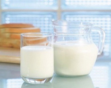 Những lý do khiến bạn nên uống sữa dê thay sữa bò hàng ngày