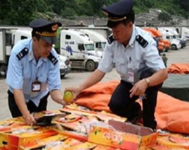 17 lô hàng thực phẩm nhập khẩu từ Trung Quốc có dư lượng thuốc BVTV