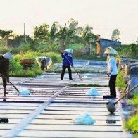 Đến thăm ruộng muối Diêm Điền của Thái Bình
