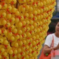 Quả lê khổng lồ được kết từ 15.000 chú vịt vàng