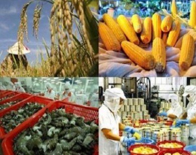 Trung Quốc phụ thuộc nguồn gạo: Việt Nam vẫn nhận thua vì...