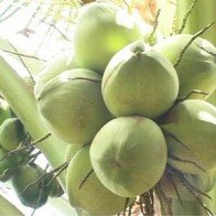 Đặc sản nên mua làm quà ở các vùng du lịch nổi tiếng
