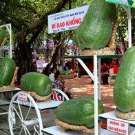 Củ quả độc lạ gặp nhau tại lễ hội trái cây Sài Gòn