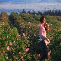 Thung lũng hoa hồng - niềm tự hào Bulgaria