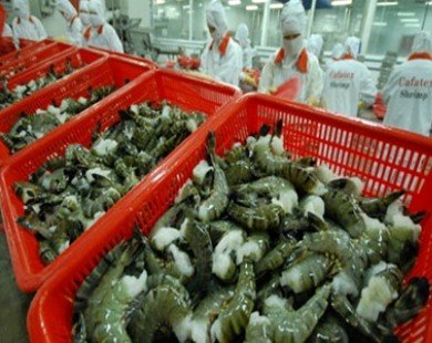 20% of Australian seafood imported from Vietnam