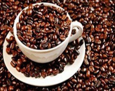 Coffee exports up in volume, value