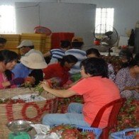 Thanh long bước vào thời khó