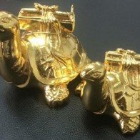 Hút mắt với quà tặng may mắn rùa cõng sách mạ vàng 24K