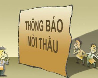 TQ cấm công ty quốc doanh đấu thầu mới tại Việt Nam