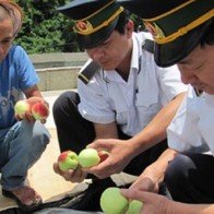 10 ngày qua, hoa quả Trung Quốc không nhập vào Lạng Sơn