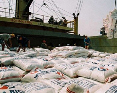 Đã xuất khẩu gần 2,34 triệu tấn gạo