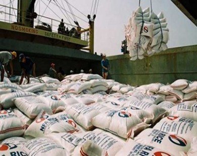 Vietnam’s rice export prices expected to rise