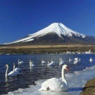 5 địa điểm du lịch lý tưởng cho tháng 6