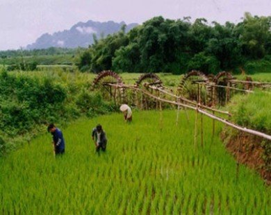 Giang Mo Village offers intimate view of Muong ethnic culture