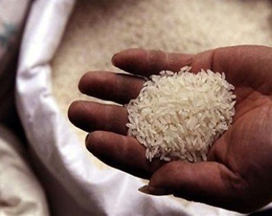 Singapore rice imports