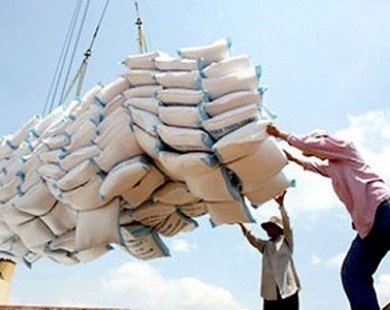 Stockpiling helps to boost rice farmers’ profits