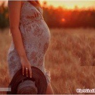 Bầu bí – Những điều chồng cần biết