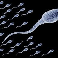 7 bí mật cho tinh trùng siêu khỏe