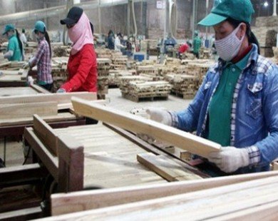 Foreign investors eye Vietnam’s wood industry