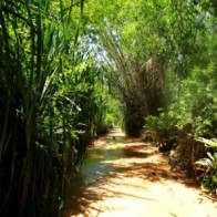 Khám phá dòng suối ở Mũi Né