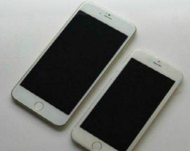 Bộ đôi iPhone 6 màn hình 5,5 và 4,7 inch lọ thêm ảnh