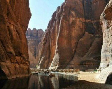 Guelta d’Archei, ốc đảo lạ lùng trong sa mạc