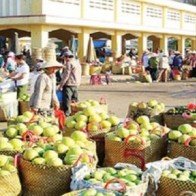 Giúp nông dân được mùa - được giá