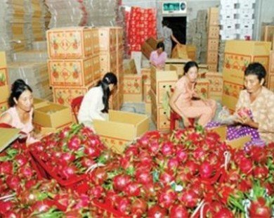Fruit, vegetable exporters search for new markets